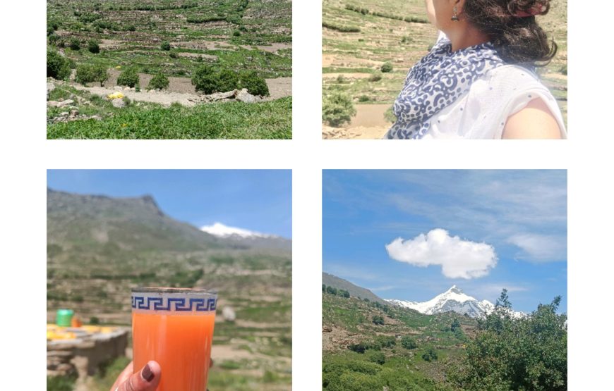 Story-Hike & Stay in Mud House hosted by Local Guide: Thi-Hill Peak near Sissu (Lahaul)